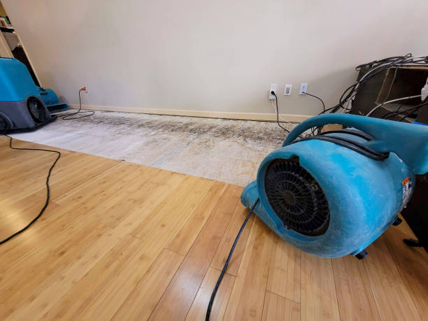 Professional Sewage Cleanup technician working in Bowmansville, PA